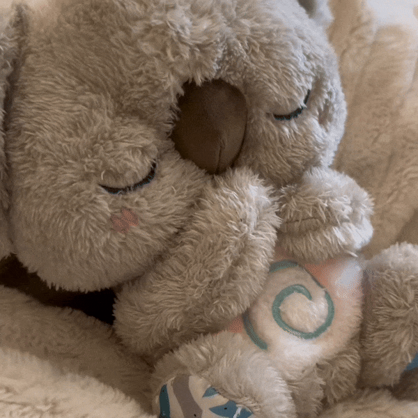 TheCuddler Koala™ - netstar
