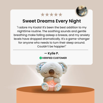 TheCuddler Koala™ - netstar